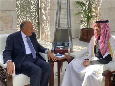 شكري يعقد اجتماعًا ثنائيًا مع وزير الخارجية القطري في مستهل زيارته للدوحة