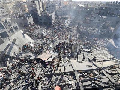 القاهرة تخوض جولات دبلوماسية لحشد دعم دولي لوقف العدوان الإسرائيلي 