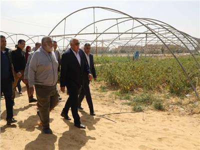 محافظ الوادي الجديد يتفقد مشروع الصوب الزراعية التابع للجمعية الشرعية بحي الأمل 