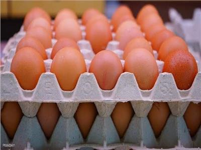 أسعار البيض في الأسواق اليوم الثلاثاء 12 مارس 