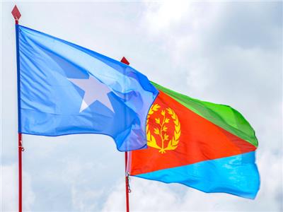 رئيسا الصومال وإريتريا يبحثان سبل تعزيز العلاقات الثنائية