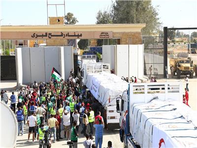 «النسور»: دور مصر محوري في تقديم المساعدات لغزة والسودان