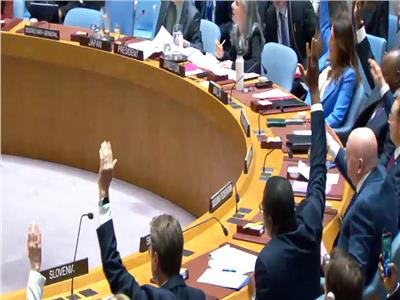 برلماني: قرار مجلس الأمن بوقف اطلاق النار في غزه انتصار للإنسانية