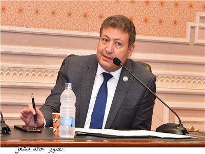 طارق شكري: مصر شهدت تنمية شاملة داخليا وقفزة خارجية 