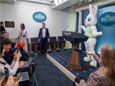 شخص يقتحم البيت الأبيض مرتديًا زي «أرنب»