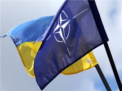 تحركات الناتو لضمان استمرار دعم أوكرانيا وتقليل تأثيرات فوز ترامب