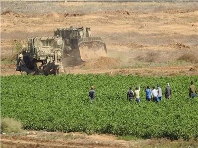 الحرب الإسرائيلية تُفقد قطاع غزة آلاف الهكتارات من الأراضي الزراعية