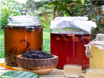 دراسة حديثة: شاي الكمبوتشا الحل الأمثل لصحة الأمعاء 