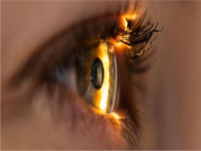 دراسة حديثة: الرموش سبب رئيسي في وضوح الرؤية عند الإنسان 