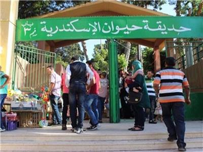 مدير حديقة الحيوان بالإسكندرية: استقبلنا 84 ألف زائر خلال عيد الفطر