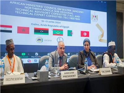 سويلم: مصر ملتزمة بالتعاون مع الدول الأفريقية لتحسين إدارة الموارد المائية