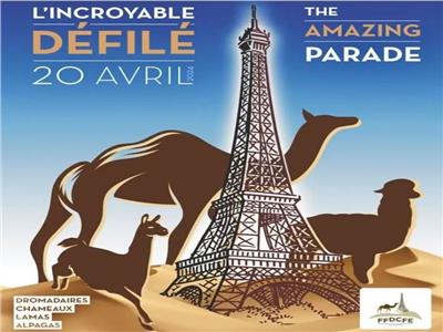 «الرفق بالحيوان» تمنع مسيرة للإبل في باريس بتكلفة 70 ألف يورو