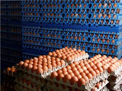 أسعار البيض في الأسواق اليوم الثلاثاء 23 أبريل