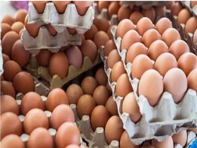أسعار البيض في الأسواق اليوم الخميس 25 أبريل 2024