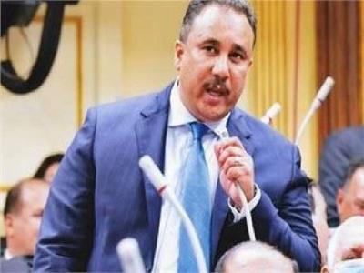 برلماني: تحرير سيناء نقطة فارقة في تاريخ مصر الحديث