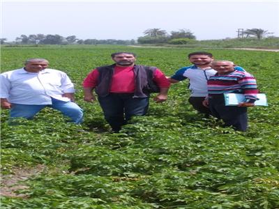 «الزراعة» تتفقد زراعات الخضر والمشاتل بمحافظة الغربية