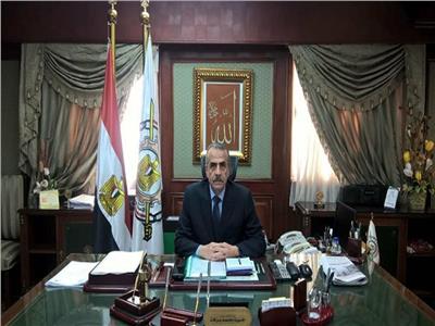 «الإحصاء» يصدر كتيبا جديدا من «مصر في أرقام» لعام 2024