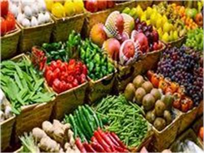 المركزي للإحصاء: 208.21 مليون دولار صادرات مصر من الخضروات خلال شهر يناير  2024