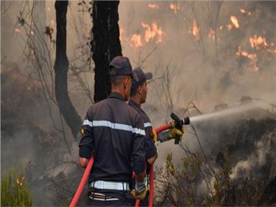 التشيك تفرض حظرا على إشعال الحرائق مخافة انتشار حرائق الغابات