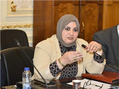 عفاف زهران: صندوق النيل للاستثمار خطوة مهمة للنهوض بمجال الصناعة المصرية