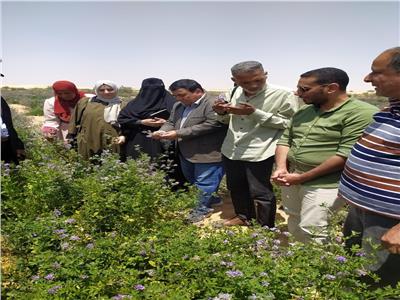 الزراعة: 890 باحث لمتابعة المحاصيل والإنتاج الحيواني في 23 محافظة