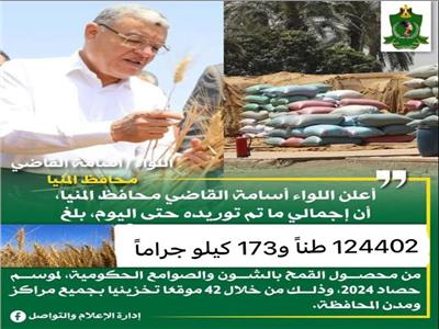 شون وصوامع المنيا تستقبل 124 ألف طن من محصول القمح لموسم حصاد 2024