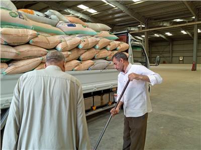 التموين: مواقع إستلام القمح تفتح أبوابها أمام المزارعين خلال إجازة شم النسيم
