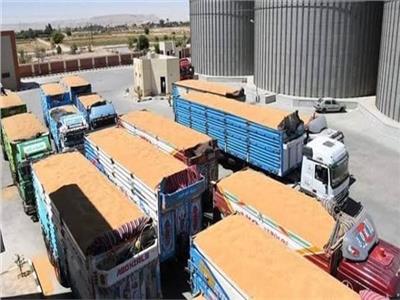 إحباط بيع 24 طنا من محصول القمح في السوق السوداء بالمنيا
