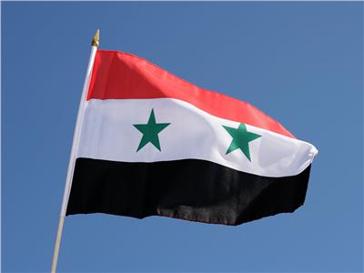 مظاهرات للسوريين ضد قرار «الداخلية النمساوية» تقييد إجراءات «لم الشمل»