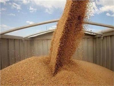 علي إسماعيل: انخفاض نسبة الفقد من القمح إلى 5% بعد تطبيق منظومة الصوامع