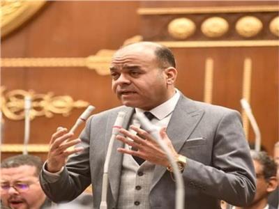 برلماني: مصر قادرة على الوصول لـ50 مليون سائح سنويا بتوجيهات الرئيس