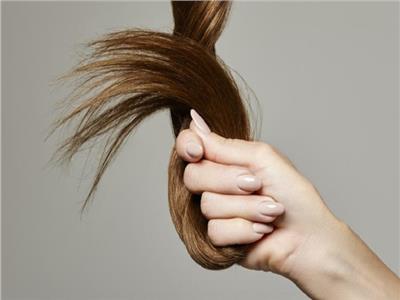 ماذا يخبرنا شعرك عن صحتك؟ فهم دور بصيلات الشعر في كشف الاضطرابات الصحية