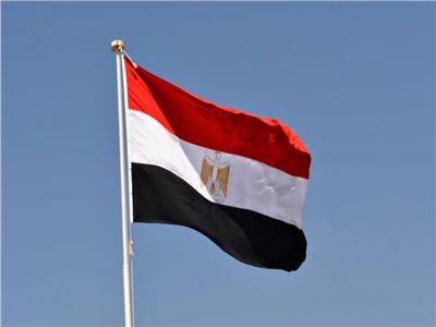 باحث: إسرئيل لم تتوقع انضمام مصر لجنوب أفريقيا أمام «العدل الدولية»