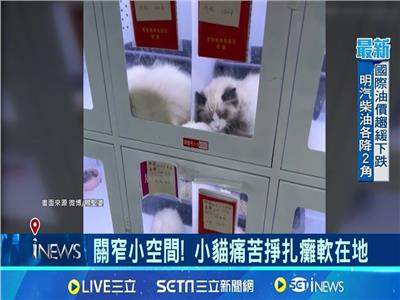 «ماكينة بيع الحيوانات الأليفة» تثير الغضب في الصين