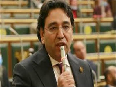 برلماني: الدفاع عن القضية الفلسطينية جزء من العقيدة المصرية الراسخة ‎