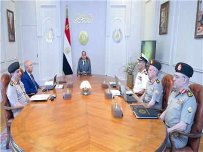 الرئيس السيسي يوجه بمواصلة تطوير شبكة الموانئ المصرية