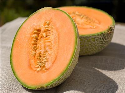 «الشمام».. 3 فوائد صحية لفاكهة الصيف المنعشة