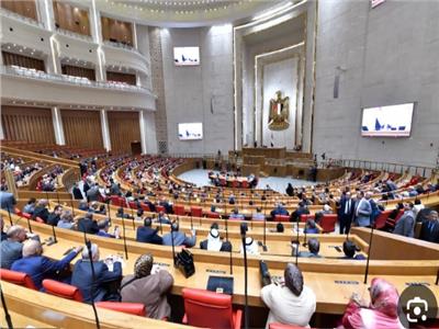 برلماني: مبادرات التحالف الوطني أحدثت تغييرًا في حياة المصريين بتوجيهات الرئيس‎