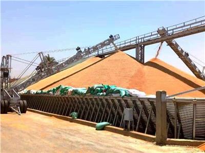 «المشروع القومي للصوامع» خطوة نحو تفادي نقص الحبوب وزيادة المخزون الاستراتيجى