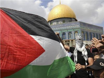 البرديسي: القيادة السياسية والدبلوماسية على أرضية واحدة لتحقيق التسوية بغزة