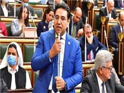«برلماني» يطالب بحملة قومية لزيادة المساحات الخضراء بمشاركة المجتمع المدني ‎