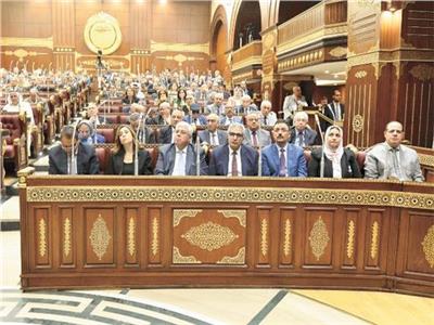 برلماني: لقاء الرئيس بالعاهل الأردني تأكيد على المساعي نحو دعم غزة