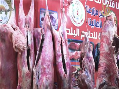 «الفريش بـ250 جنيه».. وزارة الزراعة تطرح اللحوم البلدية بأسعار مخفضة