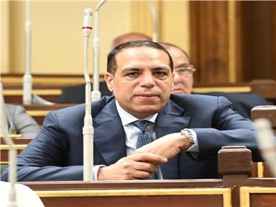 نائب مستقبل وطن: تجربة مصر في تطوير الموانئ ناجحة للغاية