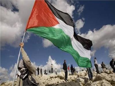 خبير: القضية الفلسطينية عادت إلى الواجهة الدولية بفضل المقاربة المصرية