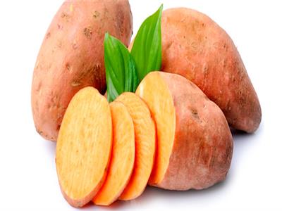البطاطا الحلوة.. كنز غذائي مليء بالفيتامينات ومضادات الأكسدة