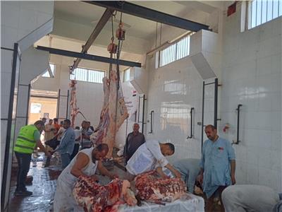 محافظ المنيا: الانتهاء من ذبح  ٢٣١٩ أضحية بالمجازر الحكومية خلال أيام العيد