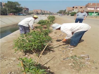 محافظ المنوفية يتابع جهود تنفيذ أعمال المبادرة الرئاسية "100 مليون شجرة" |صور