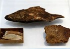 عرض أقدم وجبة سمك في العالم للملك توت عنخ آمون بانجلترا