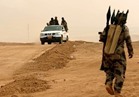  مقتل 6 من "داعش" جراء قصف مدفعي في الأنبار